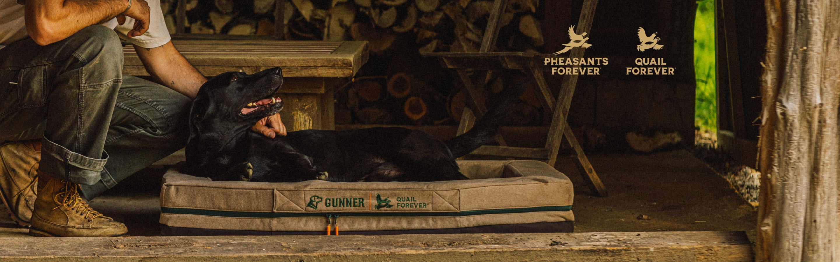 Person kneeling beshide a dog laying on a dog bed, surrounded by hunting-related items including 'Pheasants Forever' and 'Quail Forever' signs.