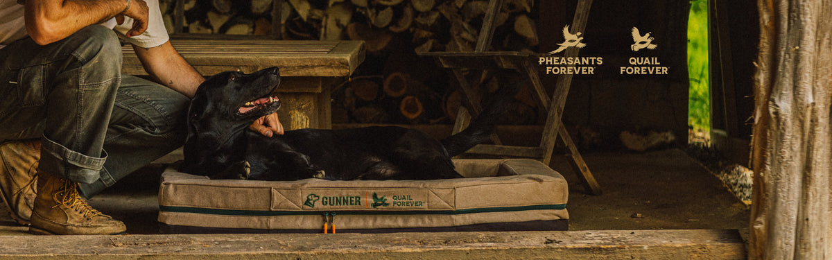 Person kneeling beshide a dog laying on a dog bed, surrounded by hunting-related items including 'Pheasants Forever' and 'Quail Forever' signs.