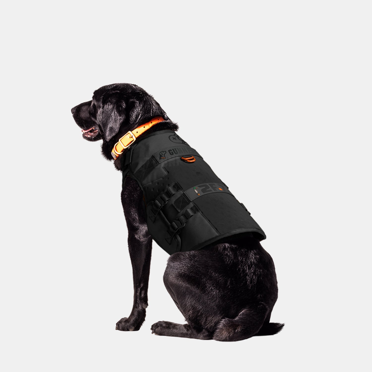 A black dog in a GUNNER x 2F.7 Waterfowl Dog Vest by GUNNER and an orange collar sits facing left against a plain white background.