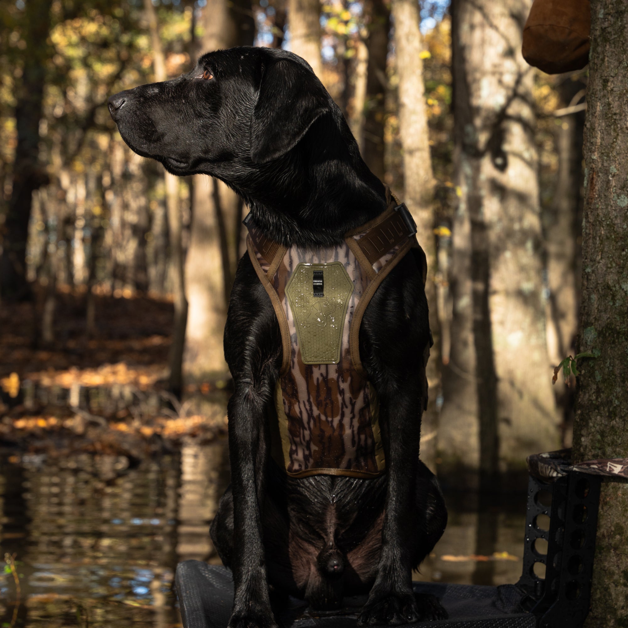 Waterfowl Dog Vest Mossy Oak Bottomland®