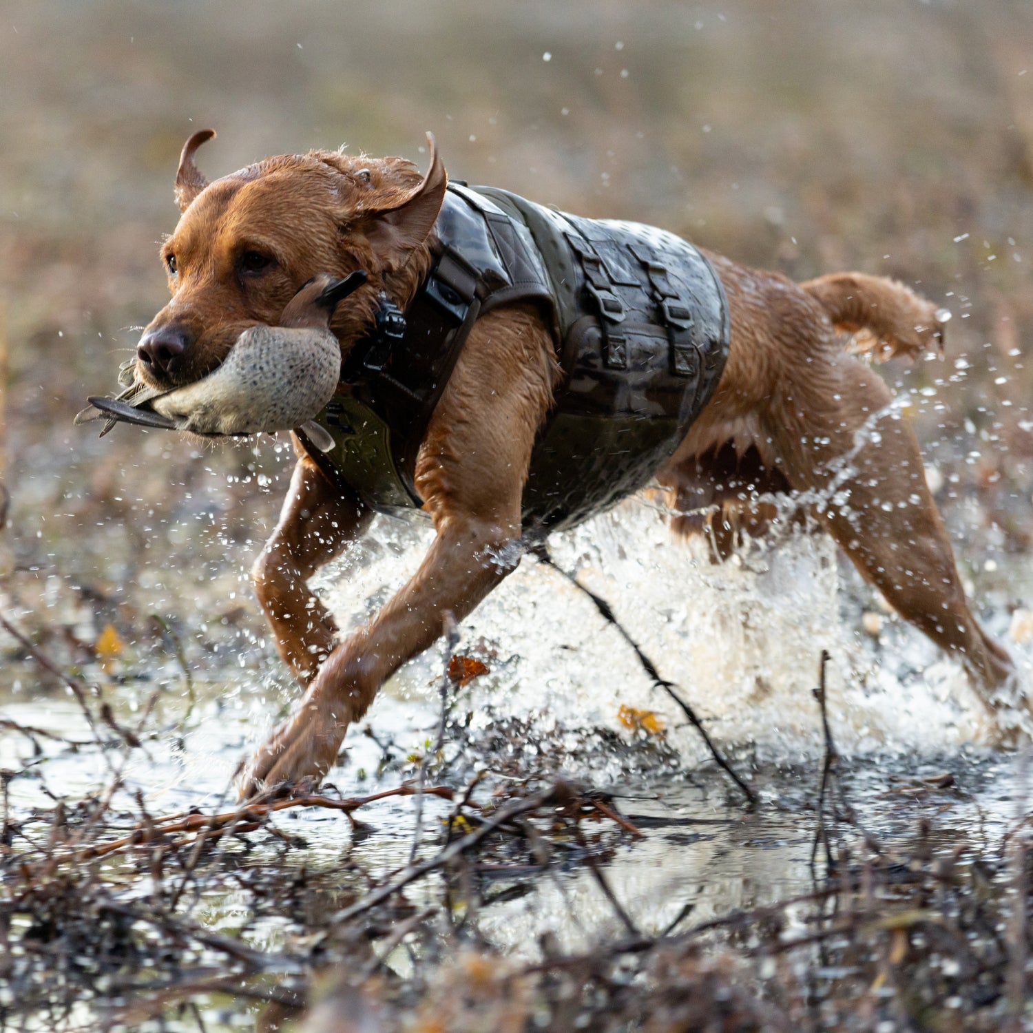 Waterfowl Dog Vest Mossy Oak Bottomland®