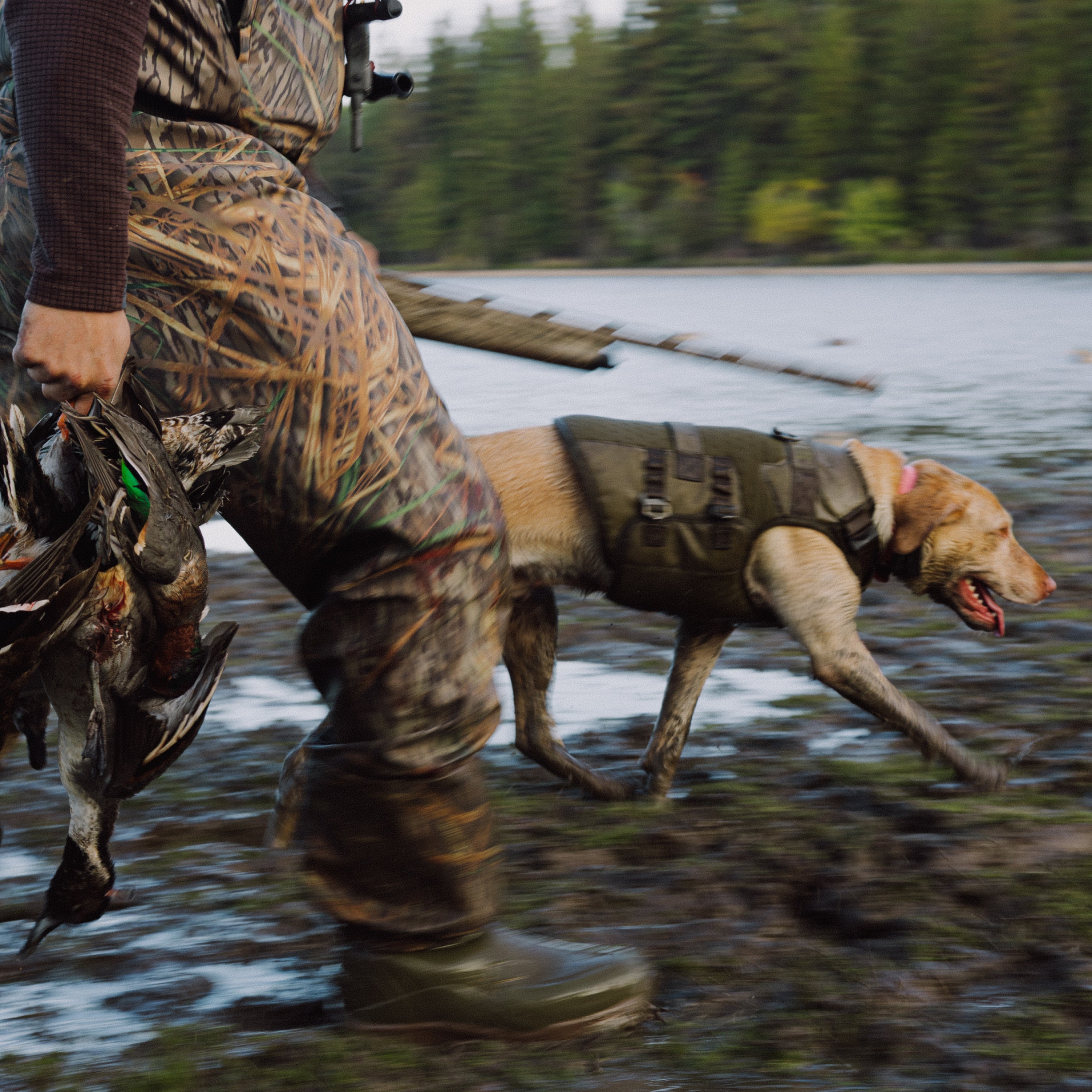 Waterfowl Dog Vest Marsh
