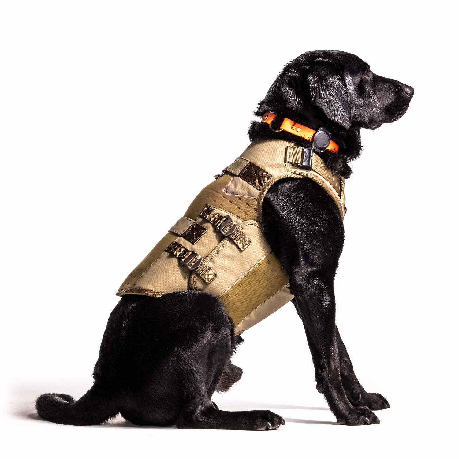 Waterfowl Dog Vest Marsh