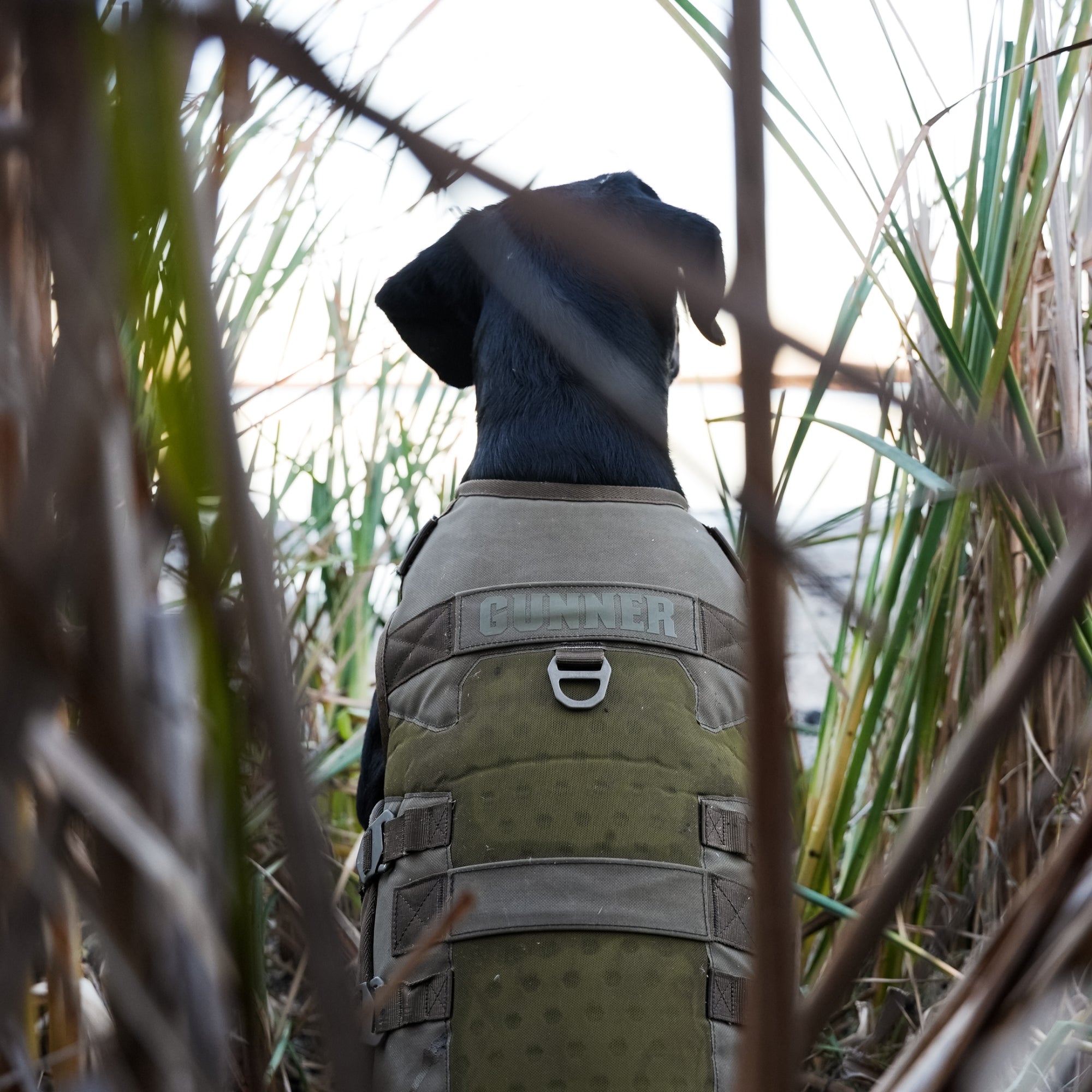 Waterfowl Dog Vest Marsh
