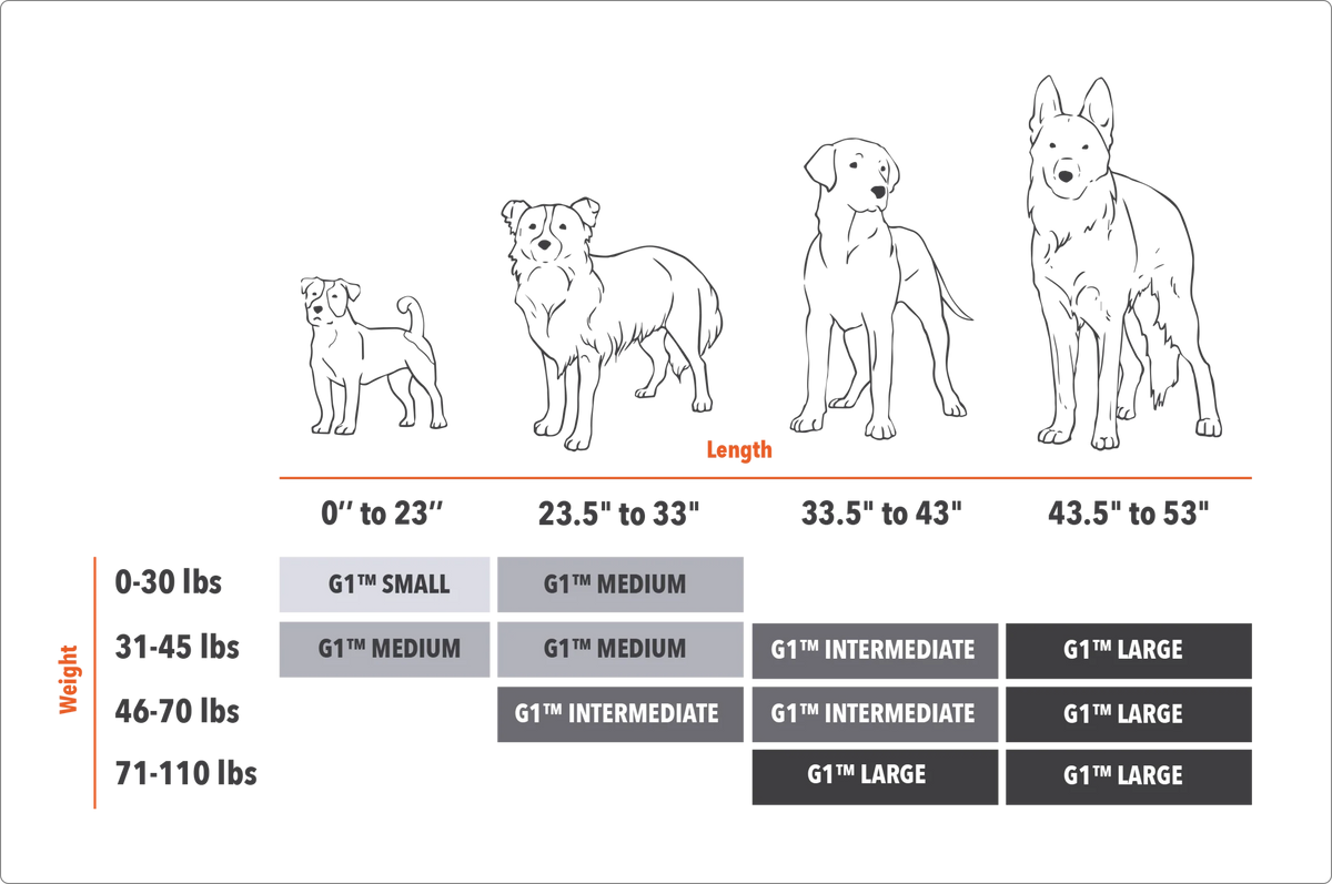 Sizing Guide