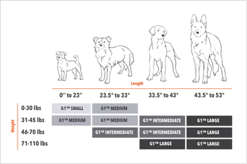 Dimensions Guide Dog Sizing Guide