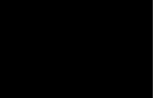 A simple black square with no visible objects, patterns, or gradients; the entire image is uniformly black, much like a quiet kennel at night before the hunting dog readies for outdoor gear and adventure.