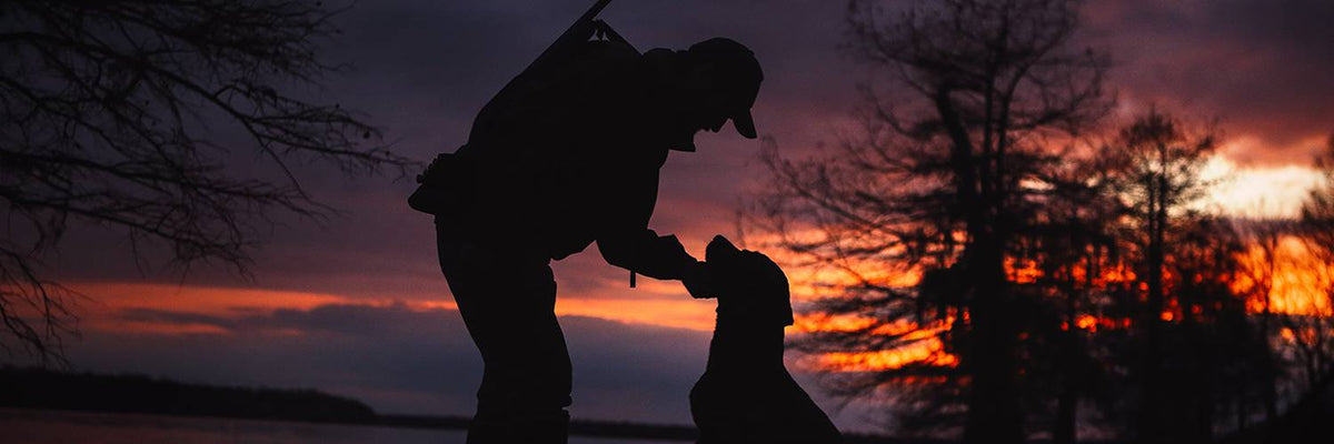 A person with a backpack and hat stands outdoors at sunset, reaching out to a hunting dog. Silhouetted trees and a colorful sky with orange and purple tones fill the background.